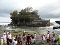 Click to see Tanolot